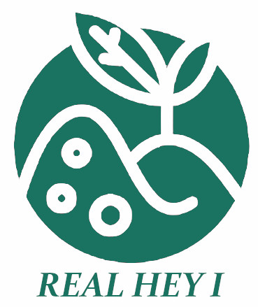 realheyi logo